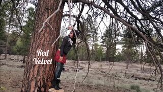 Red Velvet Hanging Wedgie