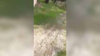 Polish pair having joy in a park