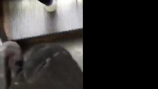 Cumsharking Public Large Cum to Gal Legs on Escalator
