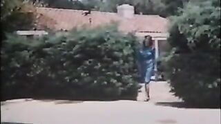 Enjoyment Zone (1983)