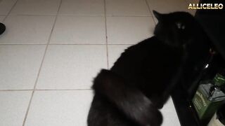 24H with ME! I received a peculiar package! And we're opening it jointly! As's -Ep13 - VLOG