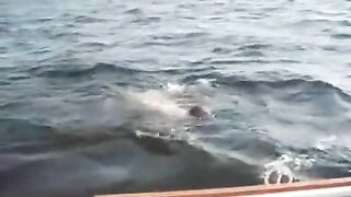 Amateur sex on the yacht