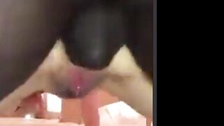 A Cuckold's Fantasy Turned NIGHTMARE.. Wife Gets Cervix Broken IN HALF Right In Front Of Her Spouse!