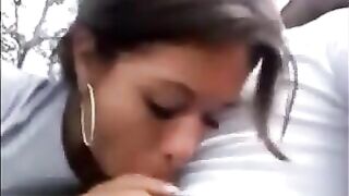 Girlfriend Gives Oral Sex And Swallows In The Park