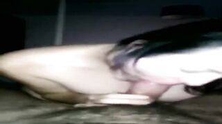 The Greek Collection