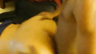 chunky teacher gets screwed by hung student