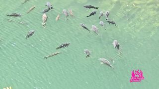 Wife cheats on spouse on a bicycle travel. Poland is a nice-looking mother i'd like to fuck, aged