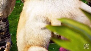 Large Minotaur bang fur Fox Lady and Tiger Lady in 3some - oral, facial and pleasure