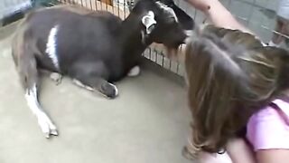 Teen does some solo enormous petting