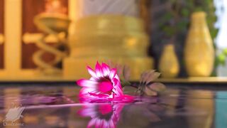 Shemale hentai big beautiful woman Hard Screw Manga Animation