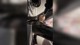 Puppy gets drilled by a Fan Toy!