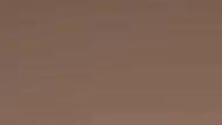 Belgium sex club liberties. Lost in Hulst