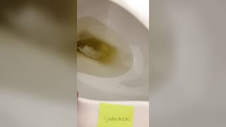 Lavatory Seat Screw and Ruined Orgams